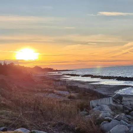 7 Person In Graested-by Traum Græsted